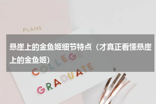 悬崖上的金鱼姬细节特点（才真正看懂悬崖上的金鱼姬）