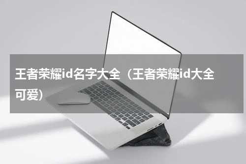 王者荣耀id名字大全（王者荣耀id大全可爱）