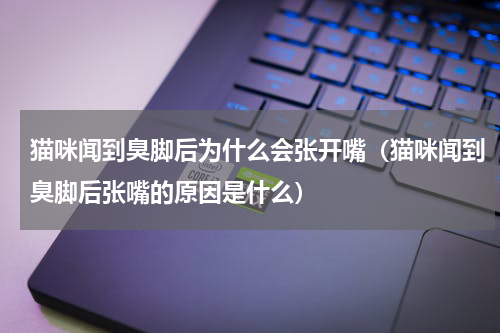 猫咪闻到臭脚后为什么会张开嘴（猫咪闻到臭脚后张嘴的原因是什么）