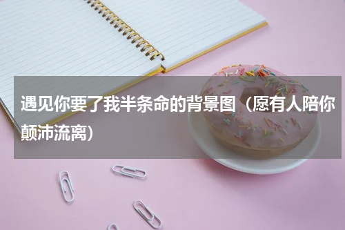 遇见你要了我半条命的背景图（愿有人陪你颠沛流离）