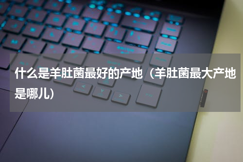 什么是羊肚菌最好的产地（羊肚菌最大产地是哪儿）