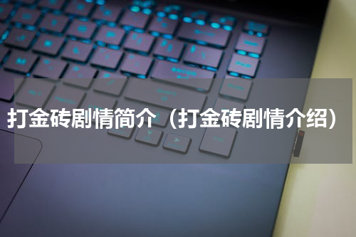 打金砖剧情简介（打金砖剧情介绍）