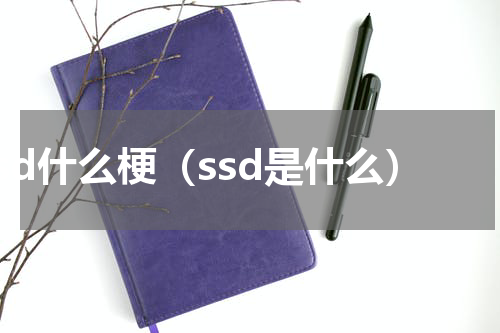 ssd什么梗（ssd是什么）