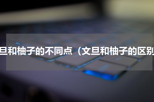 文旦和柚子的不同点（文旦和柚子的区别）