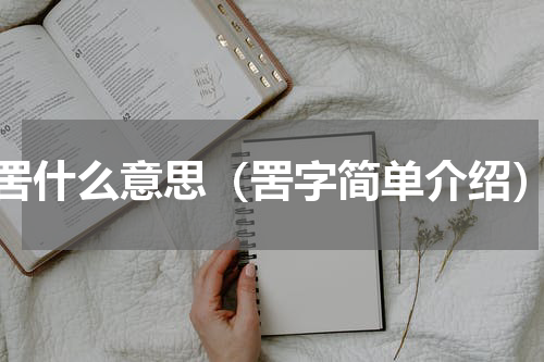 罟什么意思（罟字简单介绍）