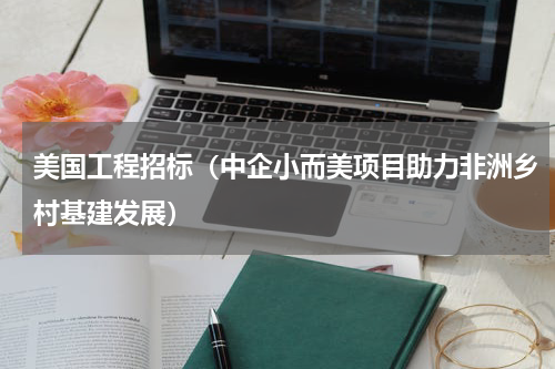 美国工程招标（中企小而美项目助力非洲乡村基建发展）