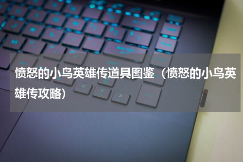 愤怒的小鸟英雄传道具图鉴（愤怒的小鸟英雄传攻略）