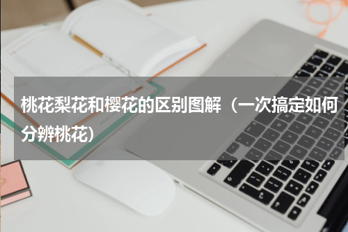 桃花梨花和樱花的区别图解（一次搞定如何分辨桃花）