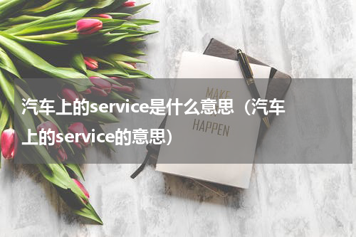 汽车上的service是什么意思（汽车上的service的意思）