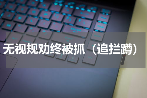 无视规劝终被抓（追拦蹲）
