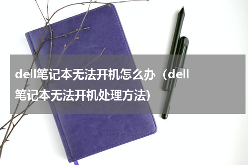 dell笔记本无法开机怎么办（dell笔记本无法开机处理方法）