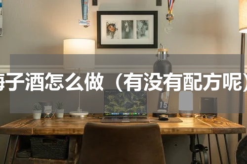 梅子酒怎么做（有没有配方呢）