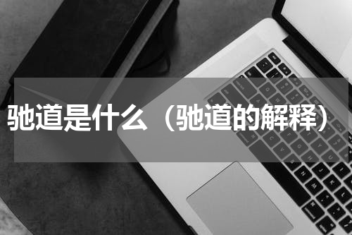 驰道是什么（驰道的解释）