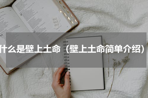 什么是壁上土命（壁上土命简单介绍）