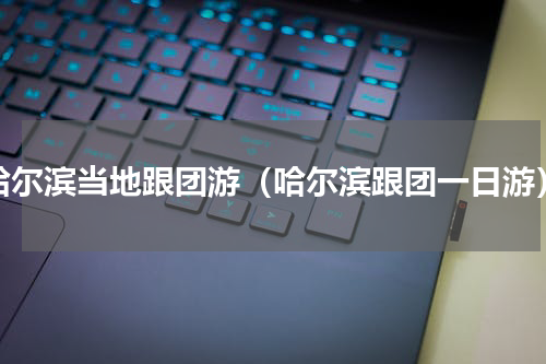 哈尔滨当地跟团游（哈尔滨跟团一日游）
