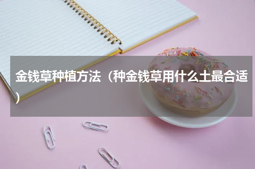 金钱草种植方法（种金钱草用什么土最合适）