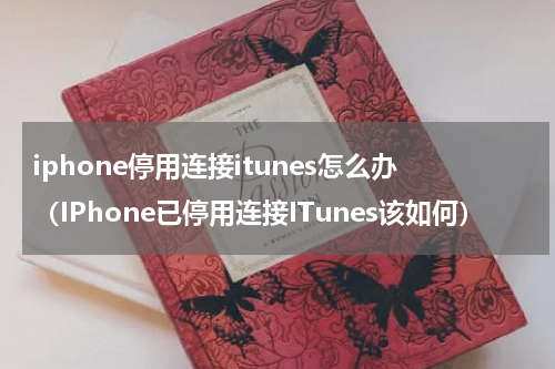iphone停用连接itunes怎么办（IPhone已停用连接ITunes该如何）