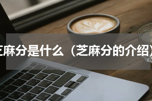 芝麻分是什么（芝麻分的介绍）