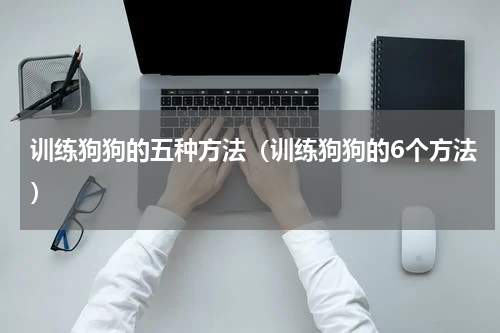 训练狗狗的五种方法（训练狗狗的6个方法）