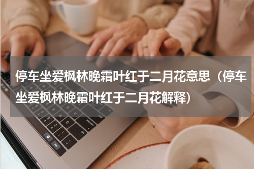 停车坐爱枫林晚霜叶红于二月花意思（停车坐爱枫林晚霜叶红于二月花解释）