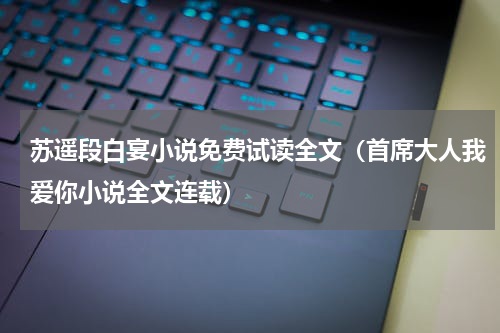 苏遥段白宴小说免费试读全文（首席大人我爱你小说全文连载）