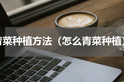 青菜种植方法（怎么青菜种植）