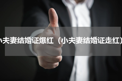 小夫妻结婚证爆红（小夫妻结婚证走红）