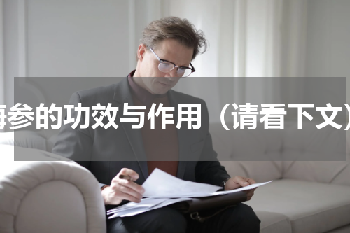 海参的功效与作用（请看下文）