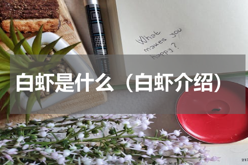 白虾是什么（白虾介绍）