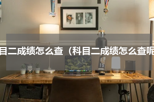 科目二成绩怎么查（科目二成绩怎么查呢）