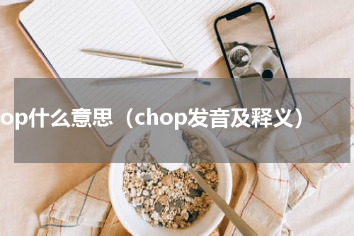 chop什么意思（chop发音及释义）