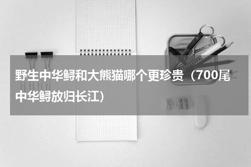 野生中华鲟和大熊猫哪个更珍贵（700尾中华鲟放归长江）
