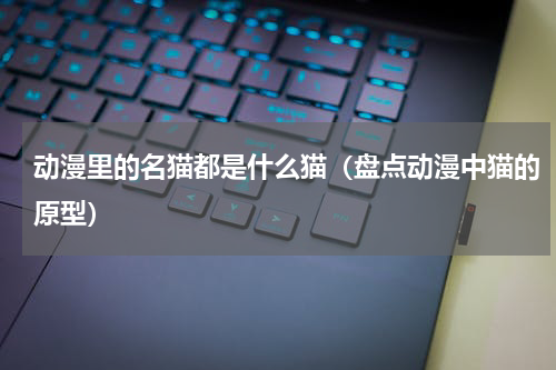 动漫里的名猫都是什么猫（盘点动漫中猫的原型）