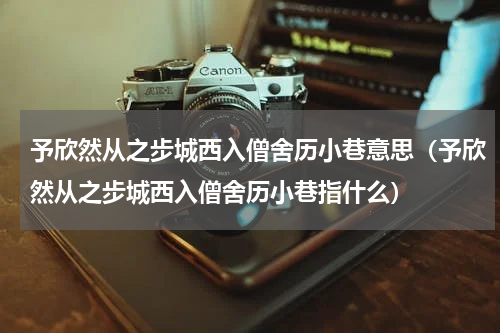 予欣然从之步城西入僧舍历小巷意思（予欣然从之步城西入僧舍历小巷指什么）