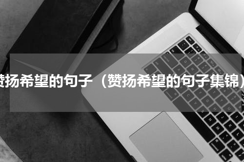 赞扬希望的句子（赞扬希望的句子集锦）