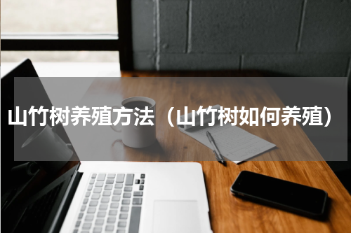 山竹树养殖方法（山竹树如何养殖）
