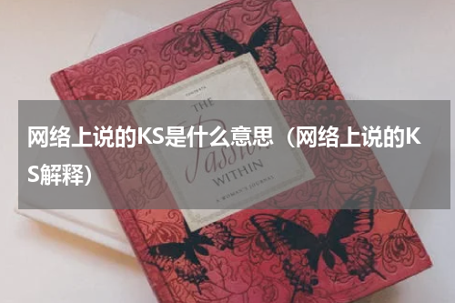 网络上说的KS是什么意思（网络上说的KS解释）