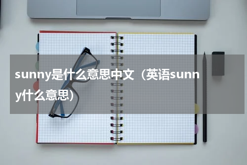 sunny是什么意思中文（英语sunny什么意思）