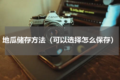 地瓜储存方法（可以选择怎么保存）