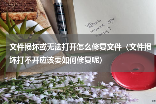 文件损坏或无法打开怎么修复文件（文件损坏打不开应该要如何修复呢）