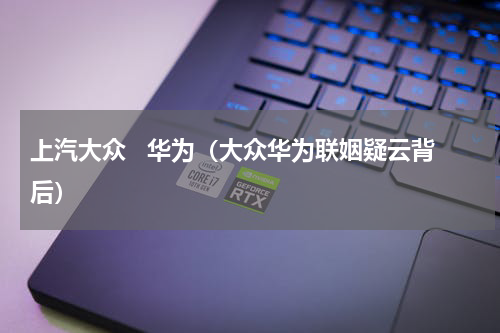 上汽大众   华为（大众华为联姻疑云背后）