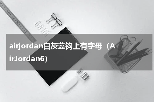 airjordan白灰蓝钩上有字母（AirJordan6）