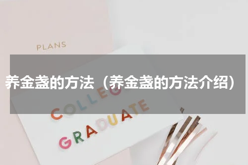 养金盏的方法（养金盏的方法介绍）