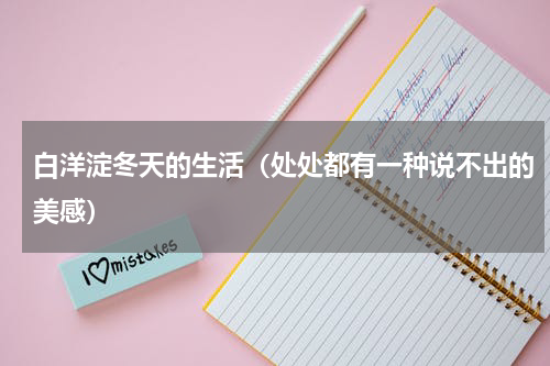 白洋淀冬天的生活（处处都有一种说不出的美感）