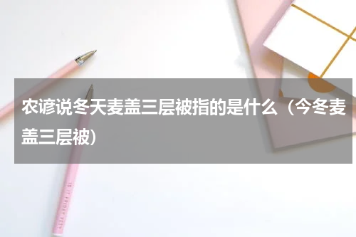 农谚说冬天麦盖三层被指的是什么（今冬麦盖三层被）