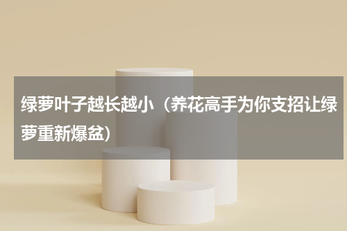 绿萝叶子越长越小（养花高手为你支招让绿萝重新爆盆）
