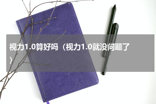 视力1.0算好吗（视力1.0就没问题了）