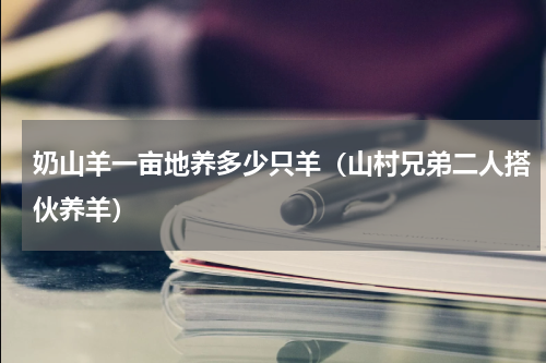奶山羊一亩地养多少只羊（山村兄弟二人搭伙养羊）