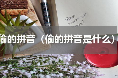 偷的拼音（偷的拼音是什么）