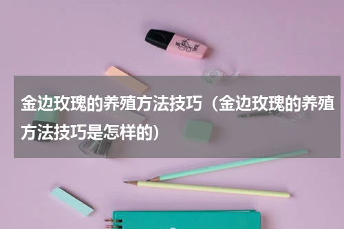 金边玫瑰的养殖方法技巧（金边玫瑰的养殖方法技巧是怎样的）